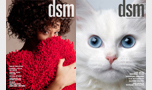 dsm Magazine